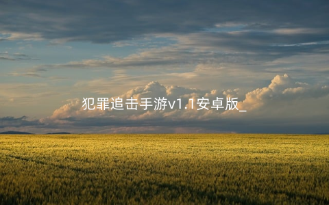 犯罪追击手游v1.1安卓版_
