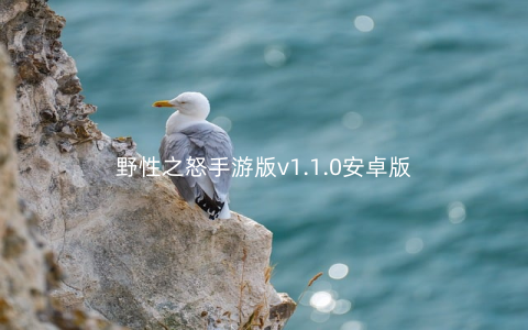野性之怒手游版v1.1.0安卓版