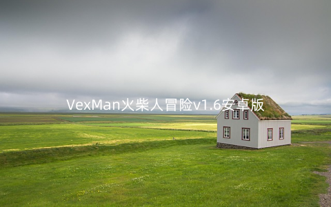 VexMan火柴人冒险v1.6安卓版