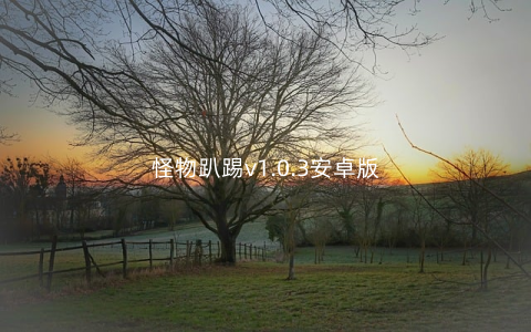 怪物趴踢v1.0.3安卓版
