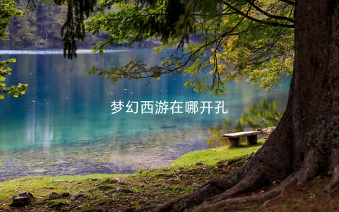 梦幻西游在哪开孔