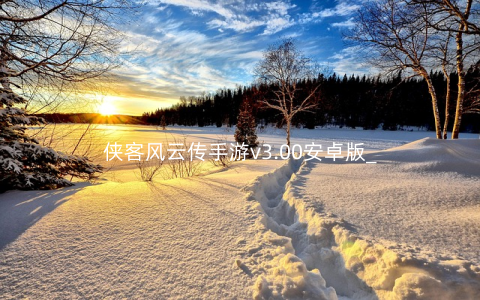 侠客风云传手游v3.00安卓版_
