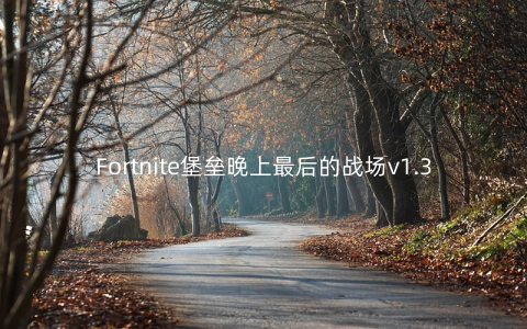 Fortnite堡垒晚上最后的战场v1.3安卓版