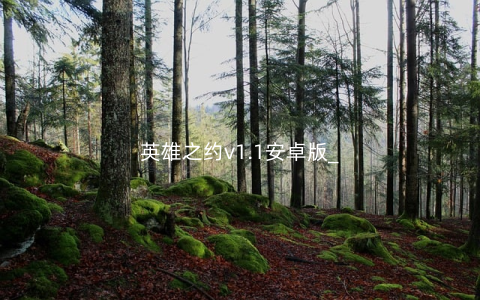 英雄之约v1.1安卓版_