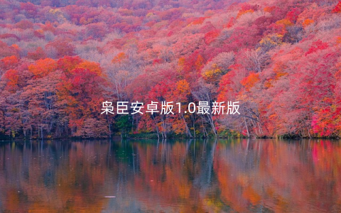 枭臣安卓版1.0最新版