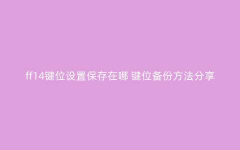 ff14键位设置保存在哪 键位备份方法分享