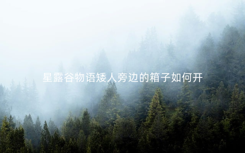 星露谷物语矮人旁边的箱子如何开