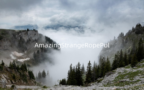 AmazingStrangeRopePolice-ViceSpiderVegas不可思议的蜘蛛英雄v1.2.4安卓版