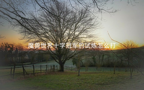 魔兽世界十字冠军的试炼怎么打