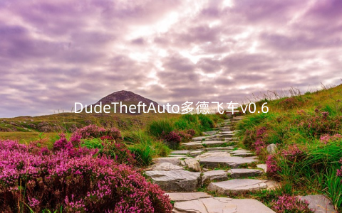 DudeTheftAuto多德飞车v0.6安卓版_