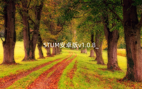 STUM安卓版v1.0.8_