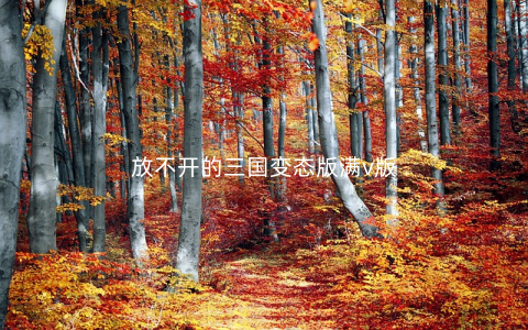 放不开的三国变态版满v版