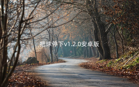 把球停下v1.2.0安卓版