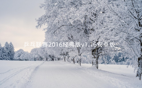 乒乓联赛2016经典版v1.16安卓版_