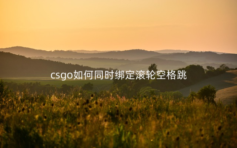 csgo如何同时绑定滚轮空格跳