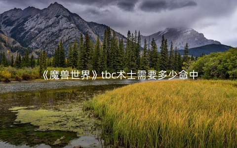 《魔兽世界》tbc术士需要多少命中