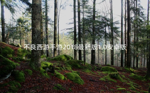 不良西游手游2018最新版1.0安卓版