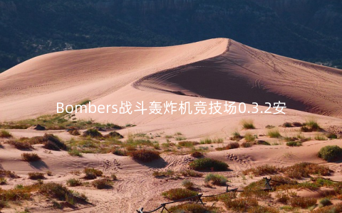 Bombers战斗轰炸机竞技场0.3.2安卓版