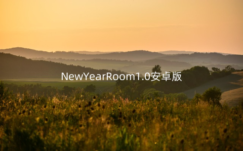 NewYearRoom1.0安卓版