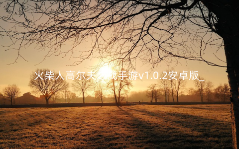 火柴人高尔夫之战手游v1.0.2安卓版_